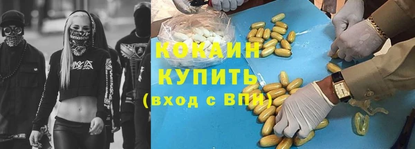 PSILOCYBIN Кулебаки