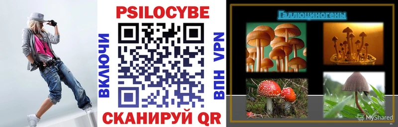 Галлюциногенные грибы Magic Shrooms  Чердынь 